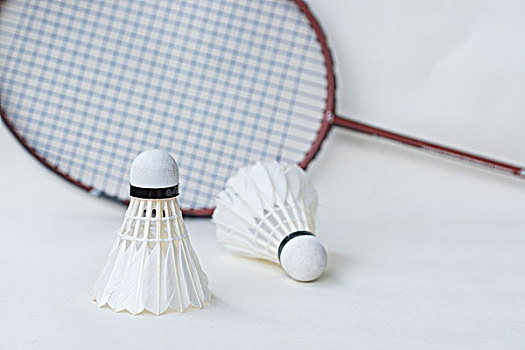 品牌的宠儿 品牌的宠儿