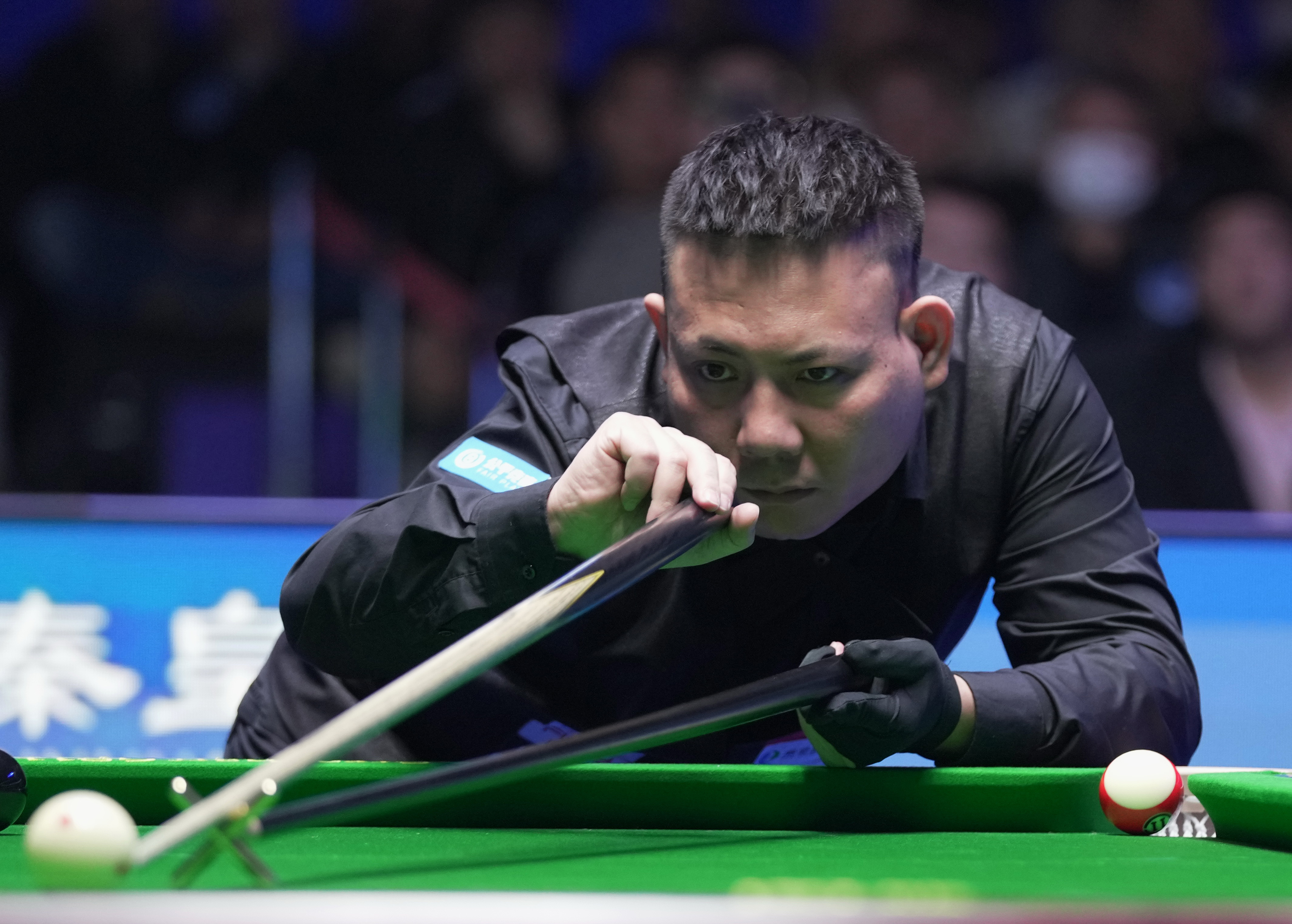 供了大放异 供了大放异