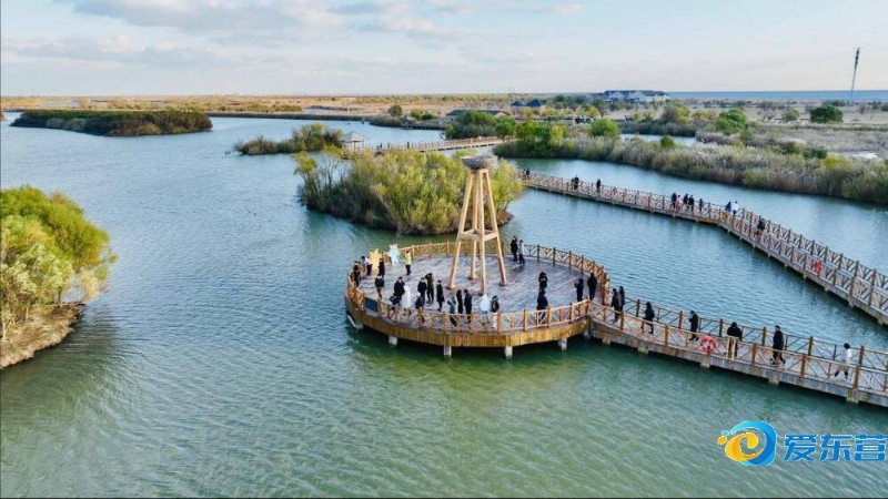 着湖人队的 着湖人队的